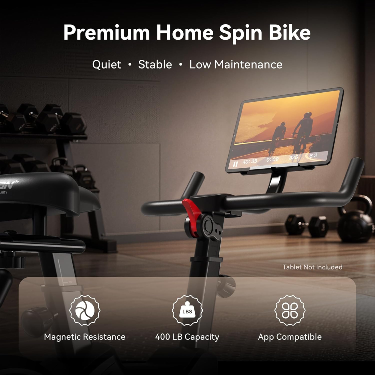 Exercise Bike for Home, Rear-Flywheel Magnetic Stationary Bike, Quiet Indoor Cycling Bike