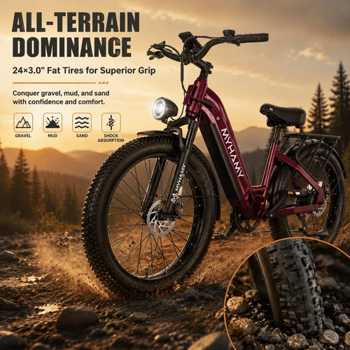 24" Fat Tire Electric Bike 48V 18Ah Adult Ebike | 100Nm torque climbs 25% hills.