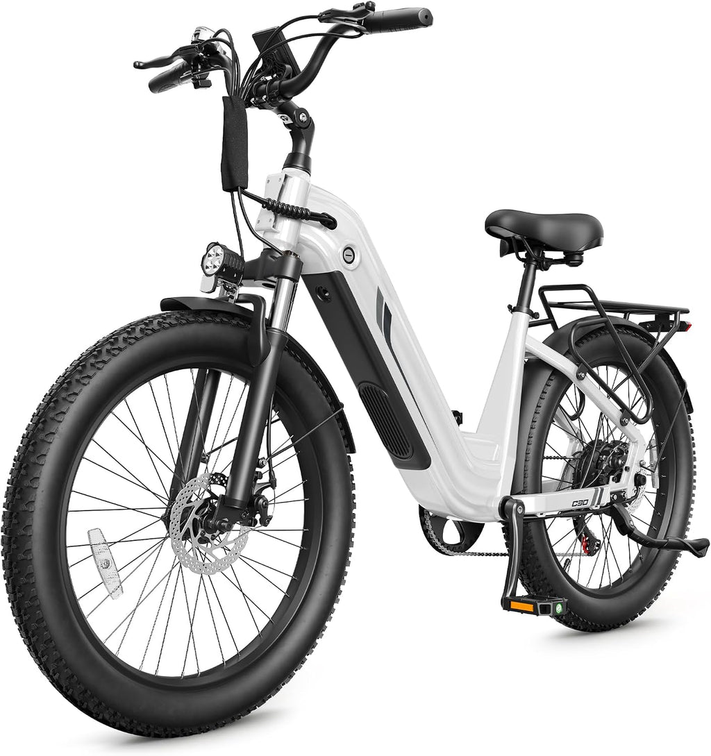 C30 Electric Bike for Adults,1800W Peak Motor,24" Fat Tire Ebike with Removable 48V
